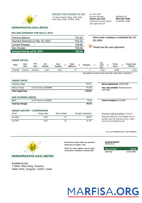 Realistic India Indraprastha Gas business utility bill template in Word and PDF formats